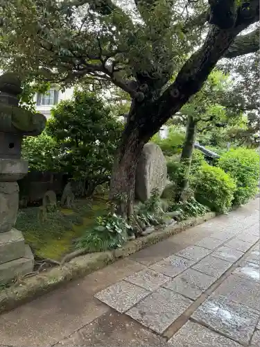 大円寺(東京都)