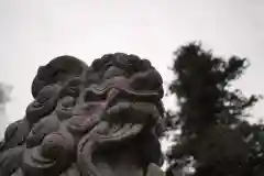 中氷川神社の狛犬