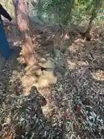 白山神社(今福町)(栃木県)