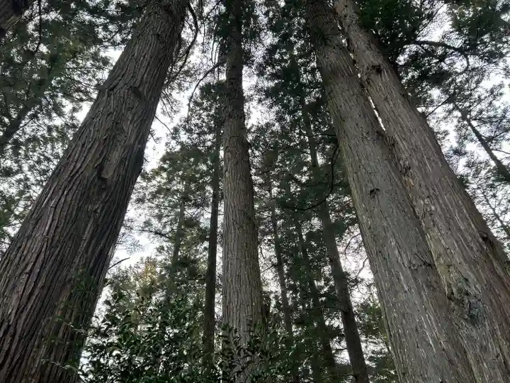 坪沼八幡神社(宮城県)