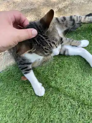 王子神社(徳島県)