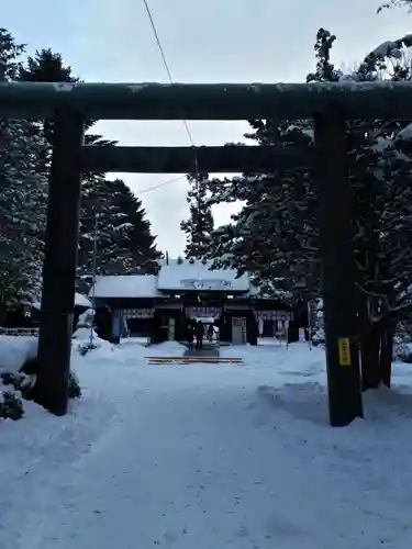 琴似神社の鳥居