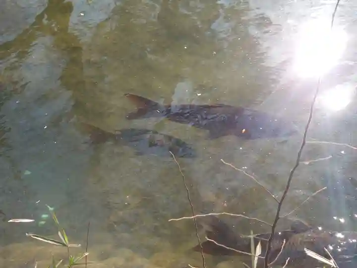 廣瀬神社(埼玉県)