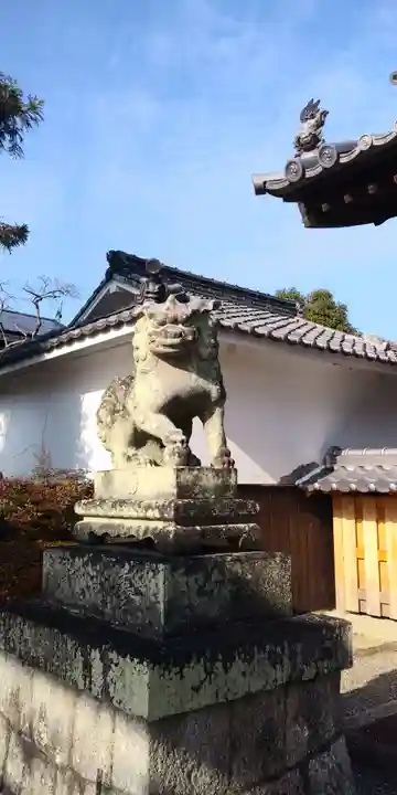 老杉神社の狛犬