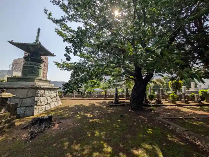 護国寺(東京都)
