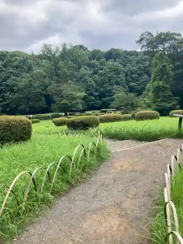 明治神宮(東京都)