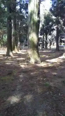 香取星神社のその他建物