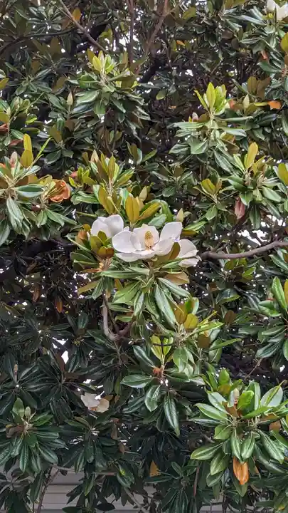 東本願寺(真宗本廟)(京都府)