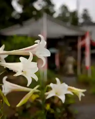 慈光寺(弓田ポックリ不動尊)(茨城県)