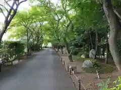 高円寺(東京都)