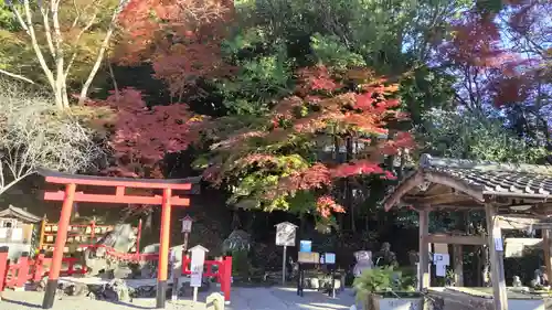 出雲大神宮の景色