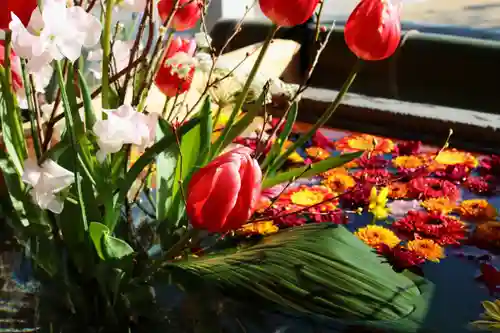 三津厳島神社の手水舎