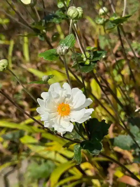 開成山大神宮(福島県)