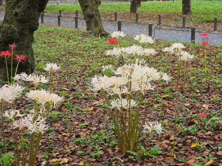 平野神社(京都府)