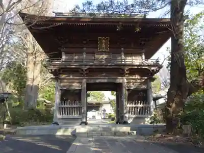徳善寺の山門・神門