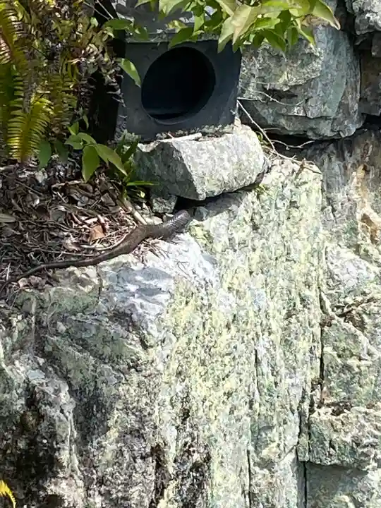 りゅうごん様(岡山県)