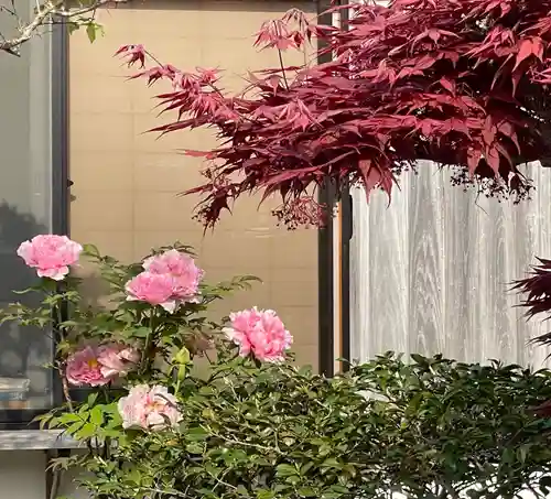 梅香寺(三重県)