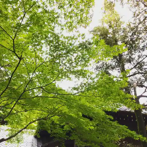 三囲神社の自然