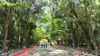 賀茂御祖神社(下鴨神社)のお祭り