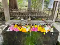 伊佐須美神社(福島県)