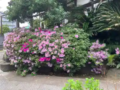 相応寺(神奈川県)