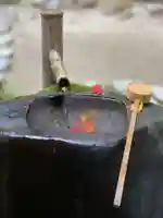 詩仙堂(丈山寺)の手水舎