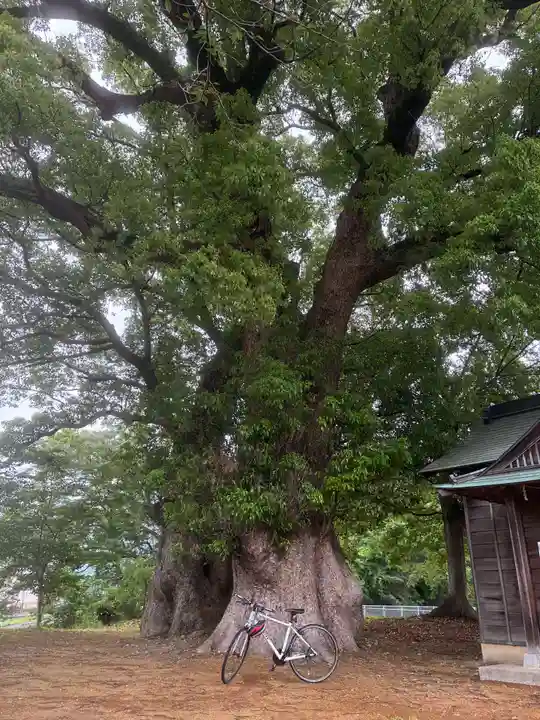 八大龍王神社(徳島県)