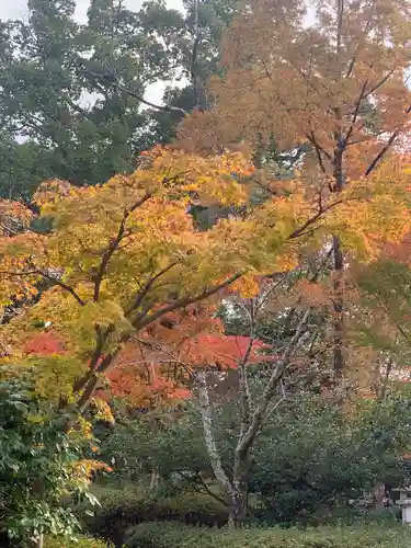 壺井八幡宮(大阪府)