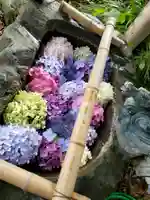 大山祇神社の手水舎