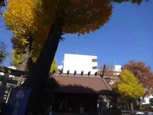 高円寺氷川神社の自然