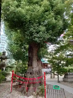三輪神社のその他建物
