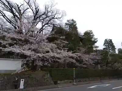 知恩院(京都府)