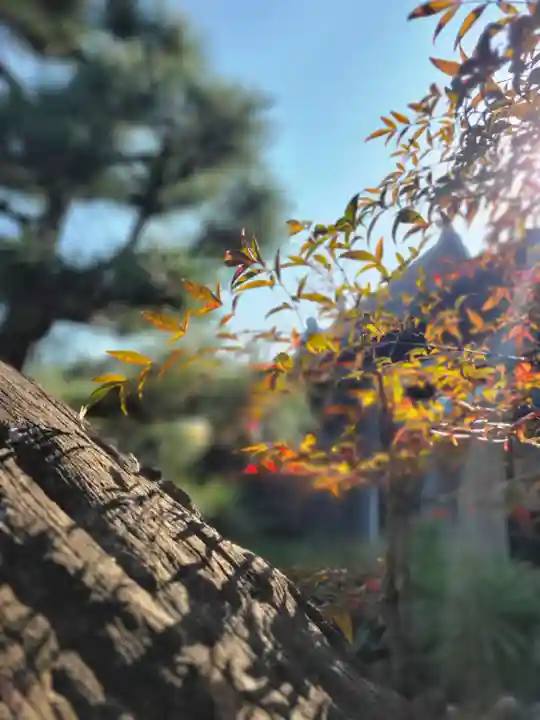 正法寺(京都府)