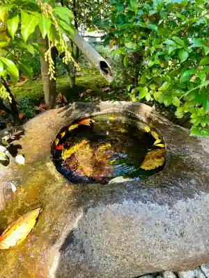 宝徳寺(東京都)