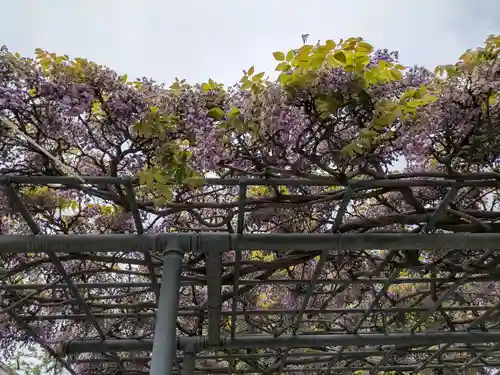本覚寺(岐阜県)