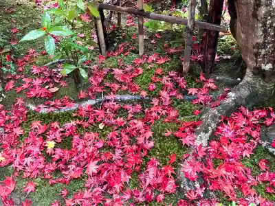 天授庵(京都府)
