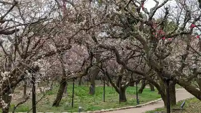 北野天満宮(京都府)