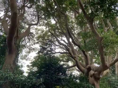 酒列磯前神社(茨城県)
