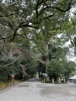 石上神宮(奈良県)