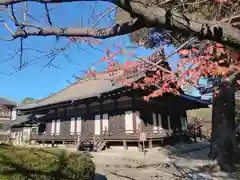 四天王寺(大阪府)