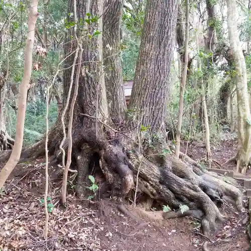雙宮神社の自然