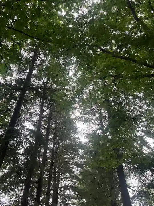 諏訪神社(東京都)