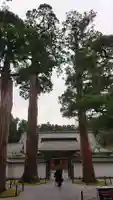 瑞巌寺の山門・神門
