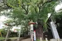 下高井戸八幡神社(東京都)