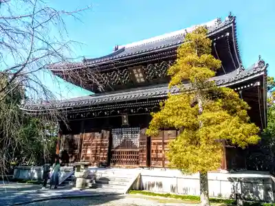 妙興報恩禅寺(妙興寺)の本殿・本堂