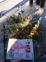 白鷺神社の御朱印