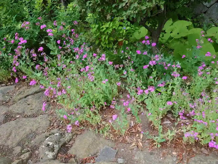 手長神社の自然