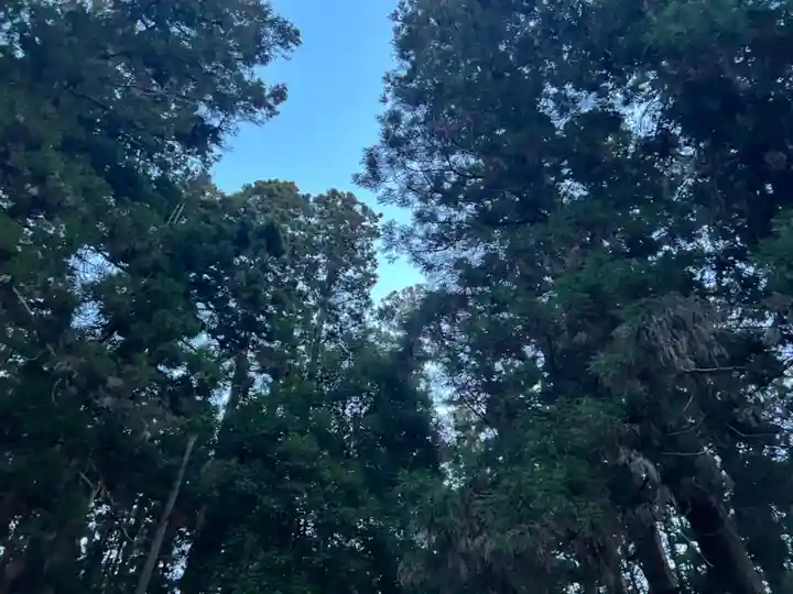 大宮温泉神社(栃木県)