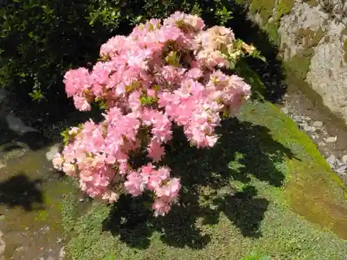 海蔵寺(神奈川県)