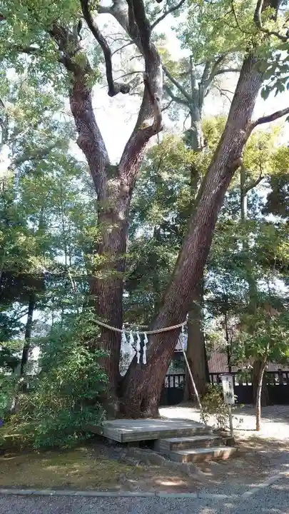 武蔵一宮氷川神社の自然